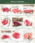 From Paddock to Your Freezer — How a Whole, Half or Quarter Beast Works