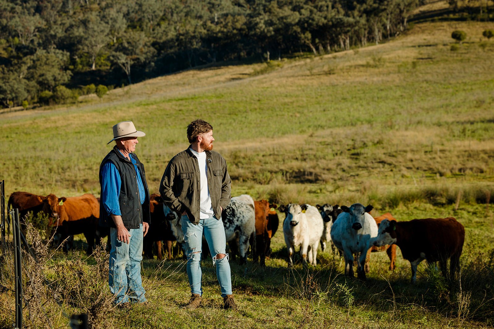 Low-Stress Stock Handling — Calm Animals, Better Meat - Hunter Natural