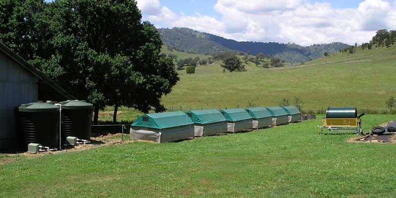On-farm worm farm turning waste into living fertiliser