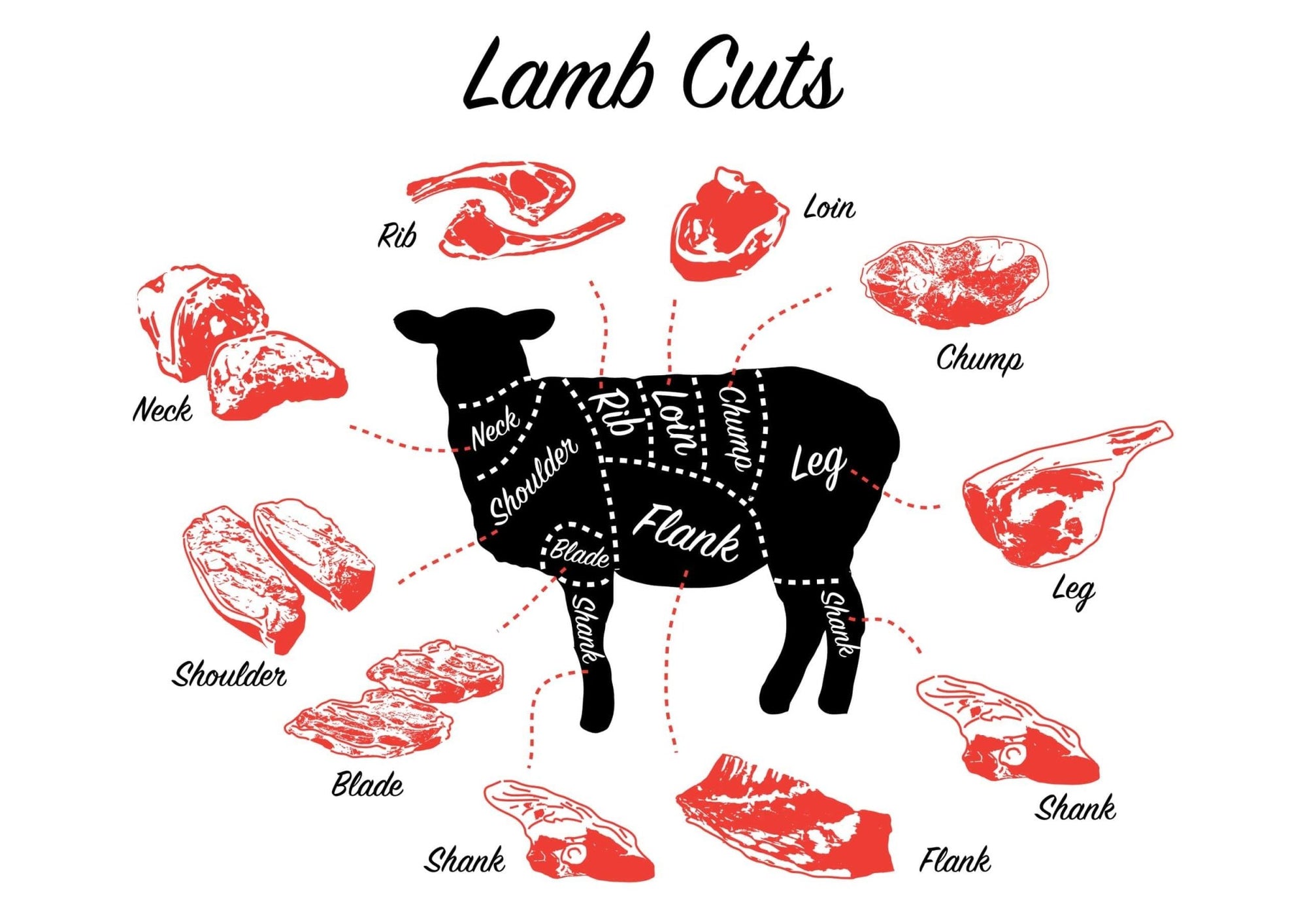Lamb - Hunter Natural - Lamb